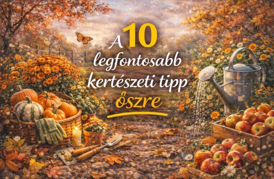 10-legfontosabb-kerteszeti-tipp-oszre