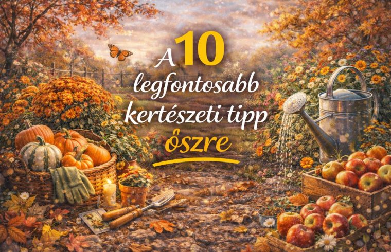 10-legfontosabb-kerteszeti-tipp-oszre