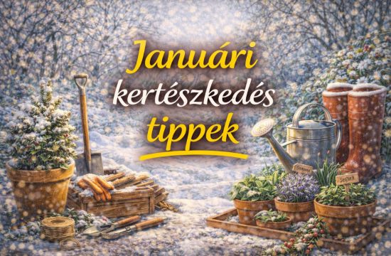 januari-kerteszkedes-tippek