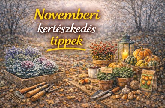 novemberi-kerteszkedes-tippek